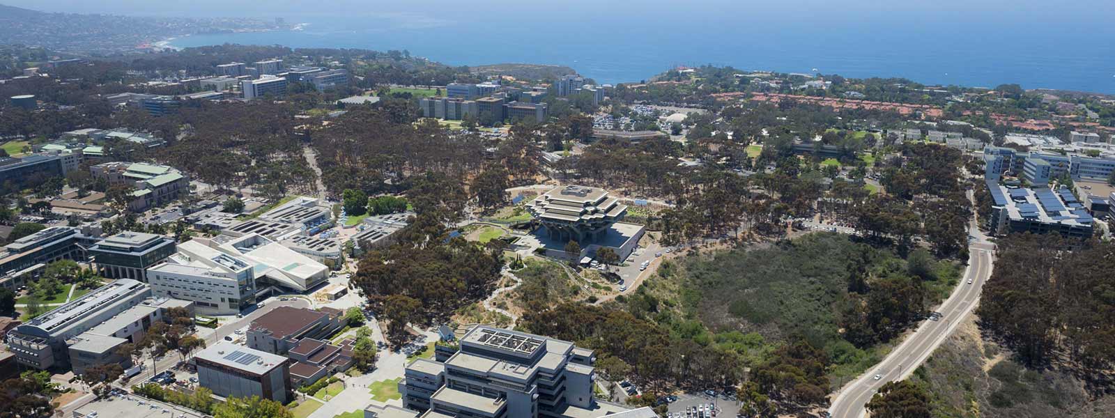 top university in usa